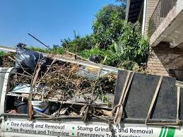 Best Attic Cleanout  in Bethel Manor, VA