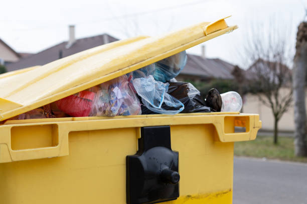 Best Hoarding Cleanup  in Bethel Manor, VA